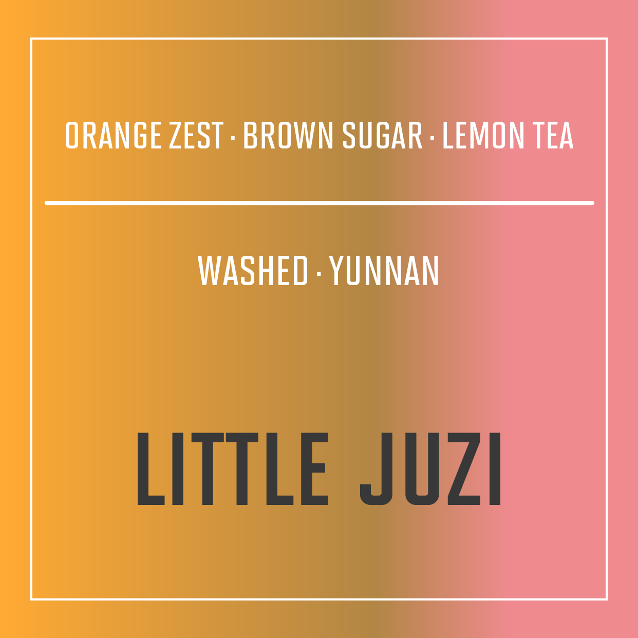 Yunnan, China | Little Juzi | Washed Process