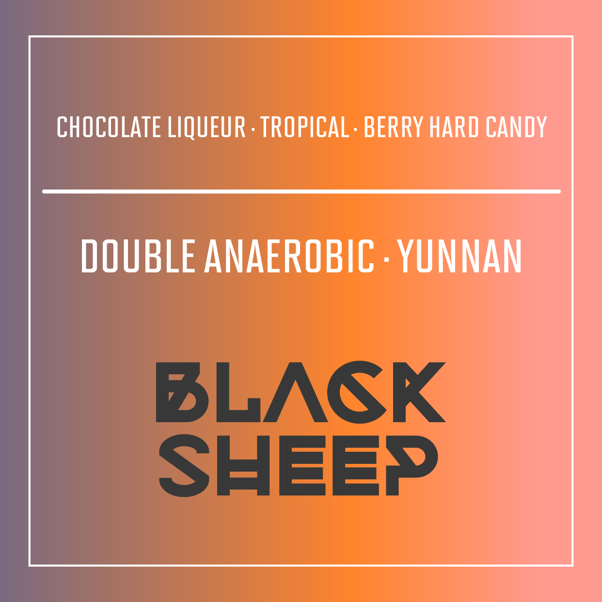 Yunnan, China | Black Sheep | Double Anaerobic Natural