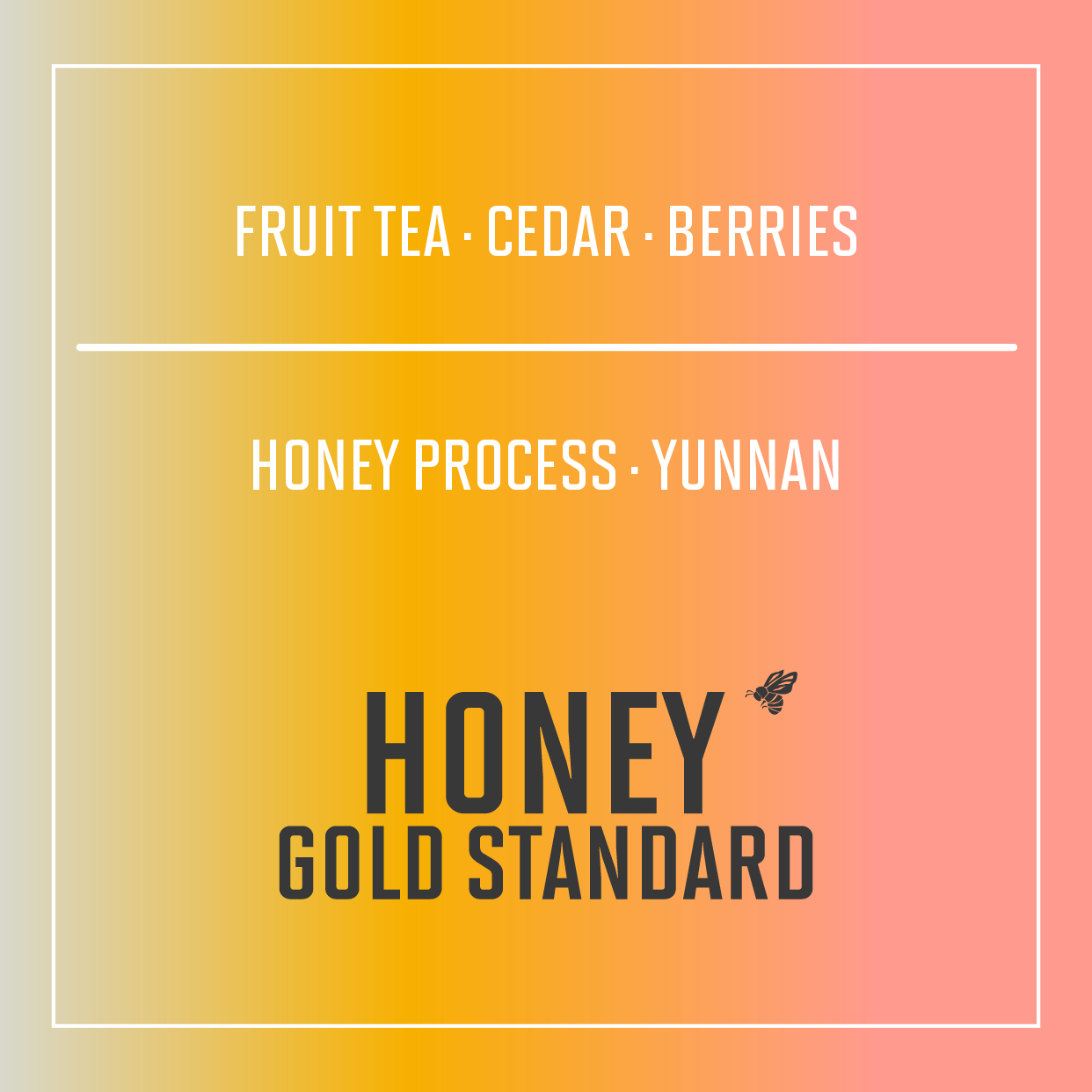 Yunnan, China | Honey Gold Standard | Honey Process