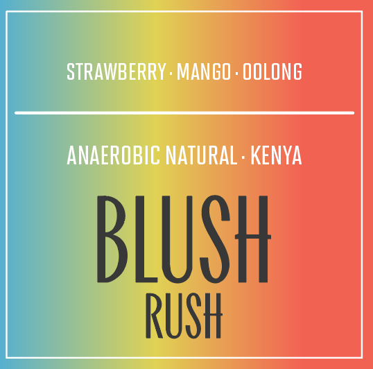 Kenya | Blush Rush |  Anaerobic Natural