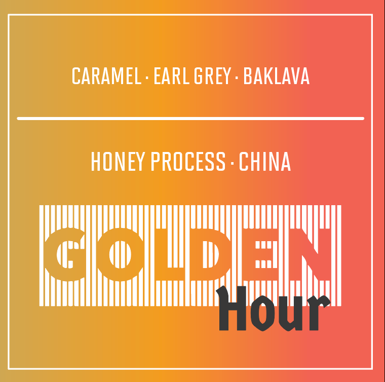 Yunnan, China | Golden Hour | Honey Process